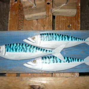 Driftwood_Carvin_54228f96bfad5
