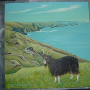 Feral_Goat_At_Th_5d108e3d6394e