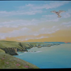 Kestrel_5d108e76d66f5