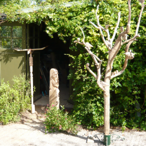 Sunny_Shed_5090fa4e013db